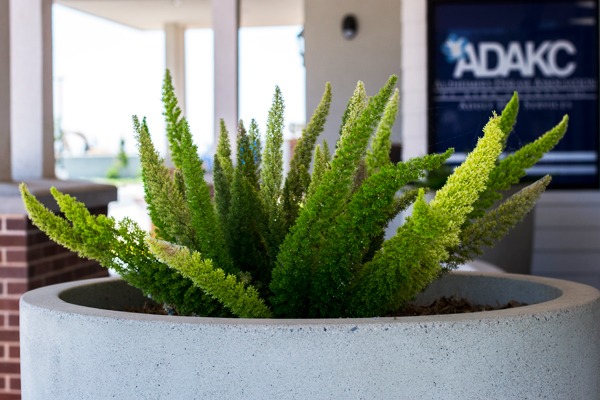 Planter outside of ADAKC Rose Lazzerini Campus